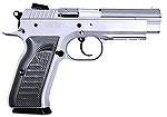 Current EAA Witness, built by Tanfoglio in Italy.  This is the full-size pistol in "Wonder Finish," which is steel with a deep heat treatment something like Glock's Tennifer, but uncolored.
