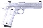 An attractive stainless steel Taurus PT1911.  Not pimped-out, just flashy.