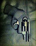 Ruger LCR .38 SPL Revolver