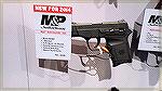 S&W M&P Bodyguard sans laser. 