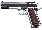 EAA Witness FT-1911.  Standard features include all steel construction, 5" barrel, and .45ACP chambering.  8 round magazine.  They also make one with a polymer frame.