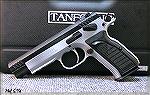 EAA Witness Elite Match in .38 Super +P by Tanfoglio.  This is a single action-only pistol and can only be carried cocked and locked.  The magazine holds seventeen rounds.