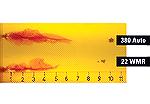 Hornady's 22 Magnum FPD round vs their 380 Auto