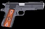 Springfield Armory GI Model