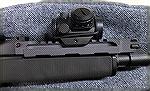Close-up of the front handguard and Bushnell optic.