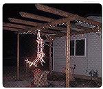 From an e-mail.  Are these Kim's or TJ's Christmas decorations?  