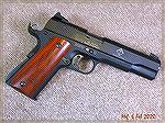 GSG 1911 .22 made in Germany.  Probably the best of the various 1911 .22 pistols.  Stock panels by LSgrips.com.