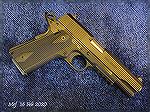 My polymer frame EAA Witness 1911P. I replaced the plastic recoil spring bushing and recoil spring bushing guide rod with steel versions, otherwise it's stock. The safety and hammer & trigger mechanis
