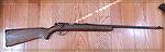My nephew's first rifle that he shot: Remington 514 in .22 Short, .22 Long, or .22LR. It's a single shot rifle. 