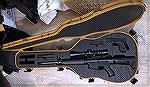 Custom Gun Case with room for an AR-10 and 3 magazines and a Glock 19 and 2 magazines. 
This is the "Tactical Guitar Case". 