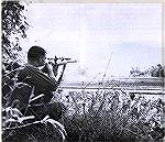 Marine Sniper in combat during Operation Harvest Moon.