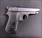 Chambered in .380 ACP