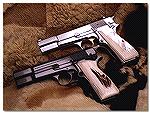 A pair of Browning Hi-Powers, 9mm on top, .40S&W below, wearing custom grips from Eagle grips.  See them at: http://www.eaglegrips.com/index.htm